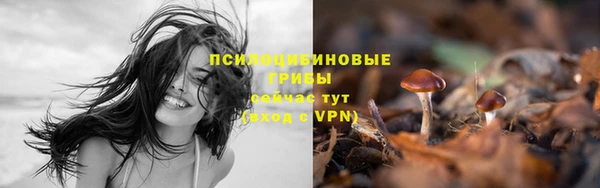 каннабис Куйбышев