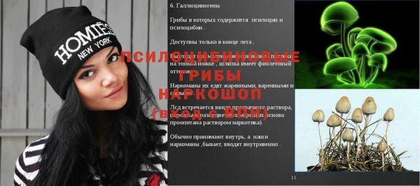 mdpv Лагань